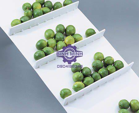 Băng tải thực phẩm có gờ chia luồng vận chuyển nông sản